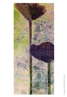 Quad Poppy II Fine Art Print