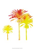 Sunny Palm I Fine Art Print