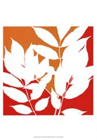 Split Stem III Fine Art Print