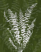 Jewel Ferns I by James Burghardt - various sizes
