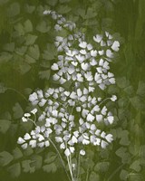 Jewel Ferns III Fine Art Print