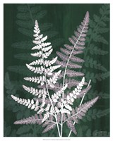 Jewel Ferns IV Fine Art Print
