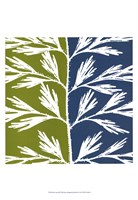 Duo Stem III Fine Art Print