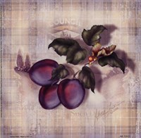Tartan Fruit-Plum Fine Art Print