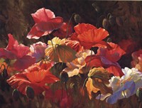 Poppies In Sunshine by Leon Roulette - 40" x 30"