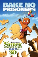 Shrek Forever After - Style G Wall Poster