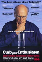 Curb Your Enthusiasm Posters