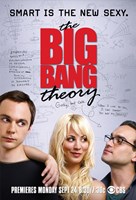 The Big Bang Theory - smart is the new sexy - 11" x 17"