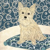 Francesca Framed Print