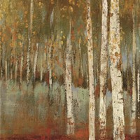 Along The Path I Fine Art Print