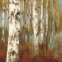 Along The Path II Framed Print