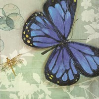 In Flight I Fine Art Print