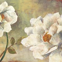 Passionate I Fine Art Print