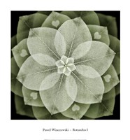 Rotundus I by Pawel Winczewski - 19" x 20"