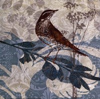 Songbird I Fine Art Print