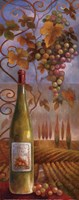 Wine Country I Fine Art Print