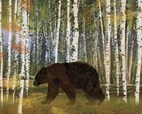 Bear Fine Art Print