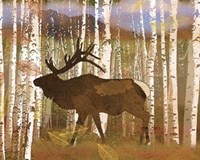 Elk Fine Art Print