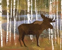 Moose Fine Art Print