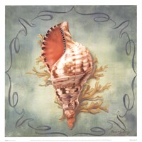 Seashells I Fine Art Print