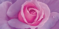 La vie en rose Fine Art Print