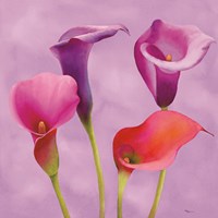 Carezze Fine Art Print