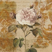 Love Notes II Fine Art Print