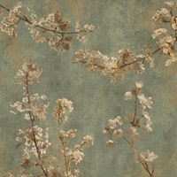 Morning Blossom I Fine Art Print