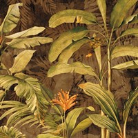 Hidden Gem I Fine Art Print