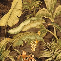 Hidden Gem II Fine Art Print