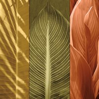 Tropical Trio II Fine Art Print