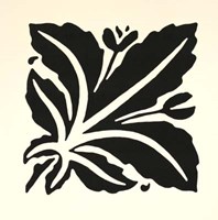 Graphic Beauty I Fine Art Print