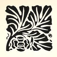 Graphic Beauty III Fine Art Print