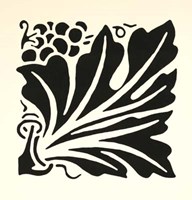 Graphic Beauty IV Fine Art Print