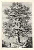 Terry's Trees II Fine Art Print