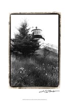 Owl's Head with Tree Fine Art Print