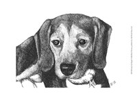 Lindy the Beagle Fine Art Print