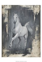 Running Stallion II Fine Art Print