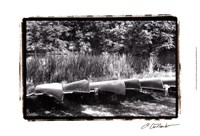 Lake Living IV Fine Art Print