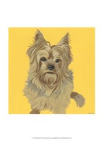 Buster Fine Art Print