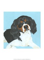 Scout Fine Art Print