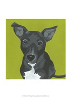 Daisy Fine Art Print