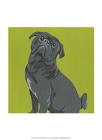 Mackie Fine Art Print