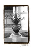 Royal Urn I Fine Art Print