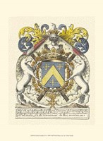 Noble Heraldry IV Fine Art Print