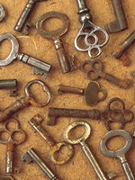 Antique Key Collage Fine Art Print