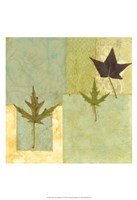 Small Earth Elements II Fine Art Print