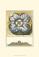 Blue & Yellow Rosette IV Fine Art Print