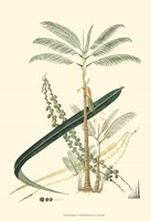 Exotic Palms I Fine Art Print