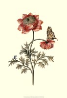 Flora & Fauna IV Fine Art Print